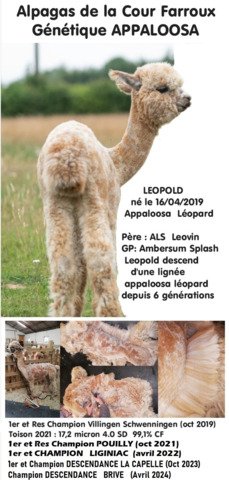 REMCO de la Cour Farroux